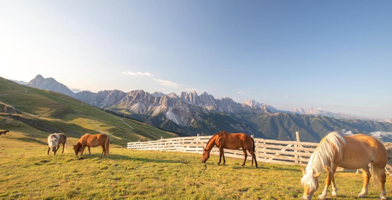 Residence Alpenrose Brixen Exteriör bild